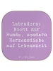 Mr. & Mrs. Panda Untersetzer Spruch Labrador Herzensdiebe mit Sp... in Lavendeltraum