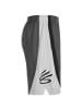 Under Armour Trainingsshorts Curry Splash 9" in dunkelgrau / hellgrau