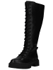 Steve Madden Stiefel in Schwarz