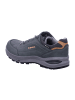 LOWA Wanderschuhe RENEGADE EVO GTX LO Ws in Grau