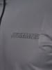 Hummel Trainingsjacke "Te Strength Pl Half Zip" in Grau