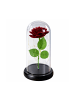 Wisam® Ewige Rose Glaskuppel LED Rot 21 cm Deko Geschenk