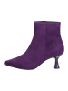 Högl Stiefelette in Purple