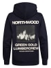 Petrol Industries Rückenprint Hoodie Rainier in Blau