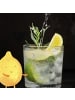 Mr. & Mrs. Panda Gin Glas mit Gravur Stinktier Yoga ohne Spruch in Transparent