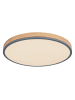 Globo lighting Deckenleuchte "DORO" in brown