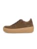 Gabor Sneaker low in braun