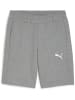 Puma Sporthose "TeamGoal CasuaLongsleeve Shorts" in Grau