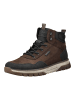 rieker Stiefelette in Schwarz/Braun