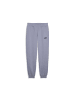 Puma Trainingshose "Ess NO. 1 Logo Sweatpants FL CL (S)" in Grau