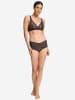 Hanro Panty Moments in dark mocha