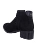 Gant Ankle Boots in Schwarz