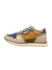 Cetti Sneaker Low in Blau