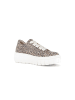 Gabor Sneaker low in beige
