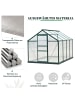 Outsunny Gewächshaus 190L x 252B x 201H cm Grün+Transparent