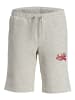 JACK & JONES Junior Sweatshorts in white melange