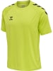 Hummel Hummel T-Shirt Hmlcore Multisport Erwachsene Schnelltrocknend in LIME POPSICLE