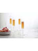 Schott Zwiesel 4er Set Sektgläser Modo 163 ml transparent in transparent