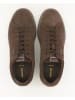 Geox Sneaker low in Braun