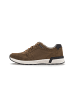 Pius Gabor Sneaker low in braun