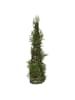 MARELIDA LED Minibaum Tischbaum kleine braune Zapfen 20LED  55cm Timer Batterie in grün