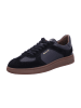 Gant Sneaker Low in schwarz