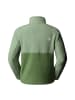 The North Face Fleecepullover Yumiori 1/4 Zip in Grün