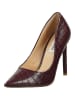 Steve Madden Pumps in Wine