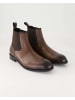 BOSS Chelsea Boots in Braun