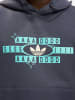Adidas originals Adidas originals Hoodie in blue