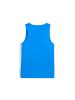 Puma Shirt "teamJAWS Starter Jersey JR" in Blau