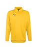 Puma Longsleeve LIGA Training 1/4 Zip in gelb / schwarz