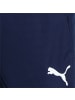 Puma Sporthose "TeamLIGA Training Shorts" in Blau