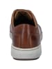 Josef Seibel Sneaker David 03 in braun