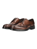 LLOYD Businessschuhe in Cigar