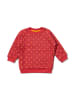Little Green Radicals Bio-Steppsweatshirt in Rot
