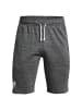 Under Armour Shorts Rival Terry in grau