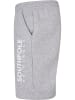 Southpole Sweat Shorts in grau