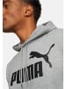 Puma Hoodie 'Essentials' in hellgrau