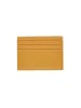 Usha Women Wallet in Yellow