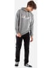 Reell Hoodie "Big Logo Hoodie" in Grau