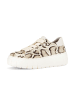 Gabor Sneaker low in multicolour