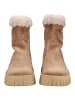 Nero Giardini Stiefelette in Braun