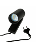 Licht-Erlebnisse Spot Strahler (B)6 x (H)12.5 cm in Schwarz