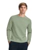 Polo Club Sweatshirt in Blasses Grün