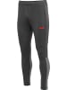 Hummel Hummel Hose Hmlpro Multisport Herren Atmungsaktiv Feuchtigkeitsabsorbierenden in FORGED IRON/QUIET SHADE