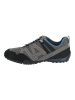 Geox Sneaker in Grau/Blau