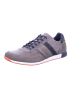 Bullboxer Schnürschuhe  in grau
