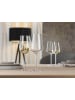 Spiegelau 2er Set Universalgläser + Poliertuch Definition 550 ml in transparent