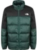 The North Face The North Face Herren The North Face Diablo Recycled Daunenjacke in ponderosa green/black